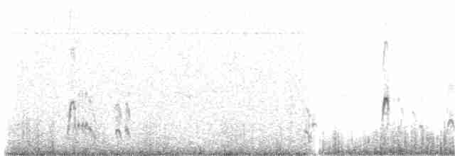 Плосконосый плавунчик - ML203971761