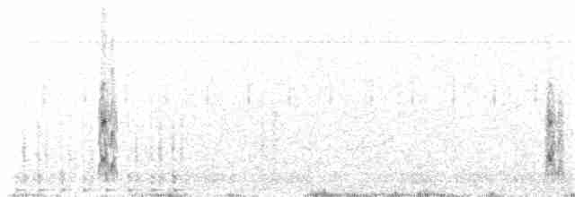 Плавунець круглодзьобий - ML203971801