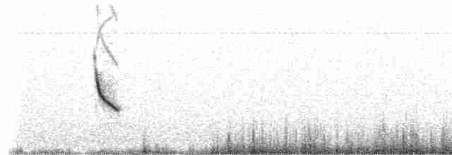 Plectrophane des neiges - ML203971821