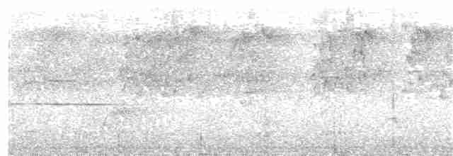 Sclater's Whistler - ML203972331