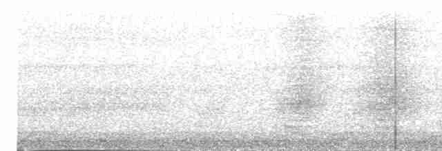 Pracht-Kragenparadiesvogel - ML203972371