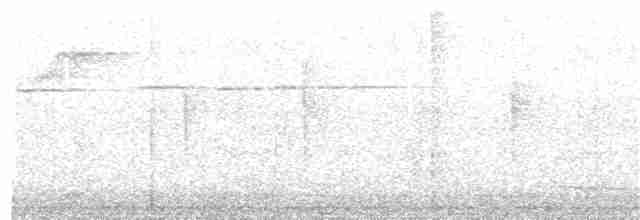 Pracht-Kragenparadiesvogel - ML203972391