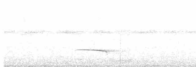 Новогвинейский воронец - ML203972701