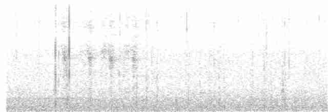 Monarque à ventre marron (ugiensis) - ML203972881