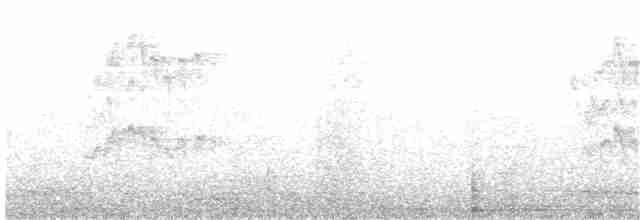 Swinhoe's White-eye - ML203973261