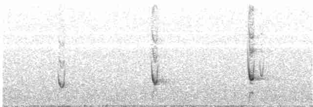Fischadler (cristatus) - ML203973461