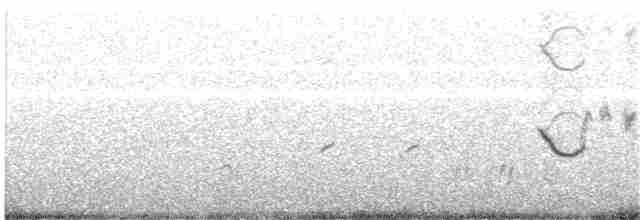 Rufous Fieldwren - ML203973501
