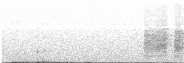 svarthaleparakitt - ML203973531