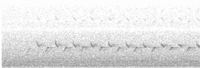 Белохвостая дриада - ML203973561