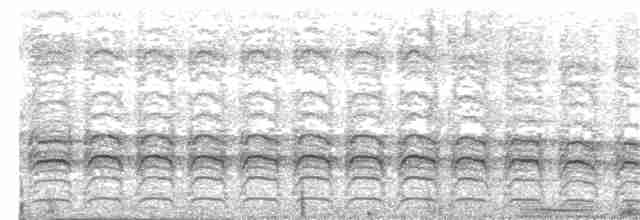 Кратеропа чорноголова (підвид stictilaema) - ML203974211
