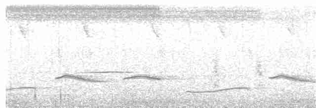 Oriole Warbler - ML203974491