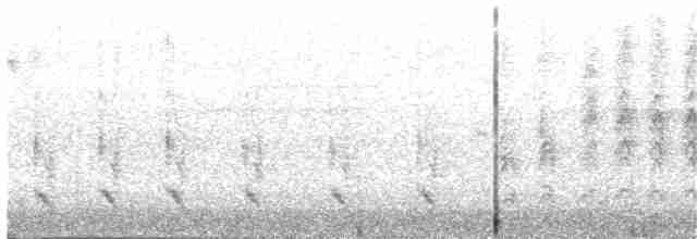 Riesenschwalbenstar - ML203974621