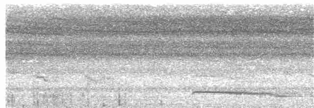 White-shouldered Ibis - ML203974701