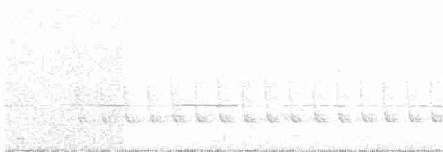 slavík obecný (ssp. megarhynchos/africana) - ML203974891