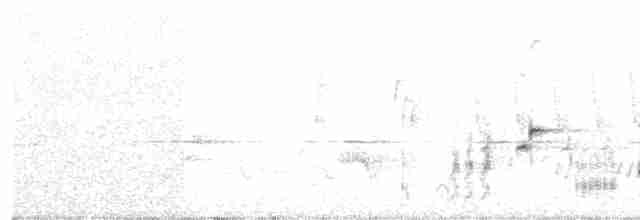 זמיר הירדן (מערבי) - ML203974901