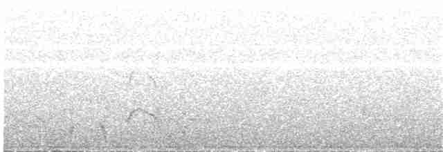 rødrosella (flaveolus) (gulrosella) - ML203975461
