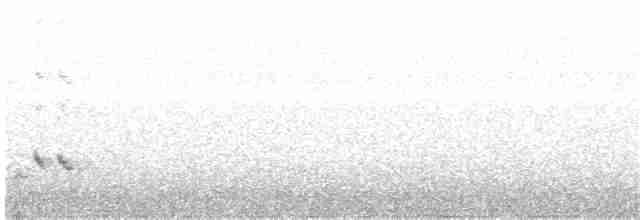 stripediamantfugl (ornatus) - ML203975571