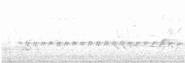 Белохвостая дриада - ML203975611