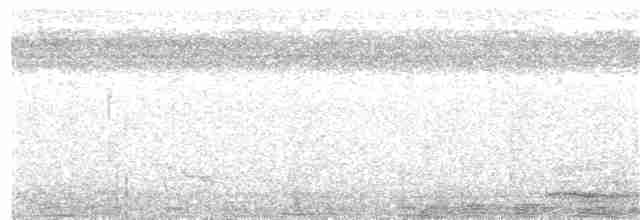Trompeterparadieskrähe - ML203976731