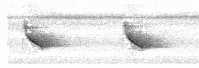 White-throated Shrike-Tanager - ML203977591