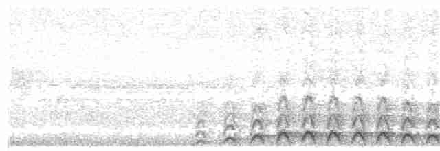 Lattice-tailed Trogon - ML203977651
