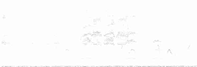 White-gaped Honeyeater - ML203977921