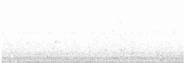 rosela černohlavá - ML203978101