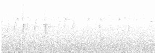 Амадина-рубінчик малинова (підвид phaeton) - ML203978111