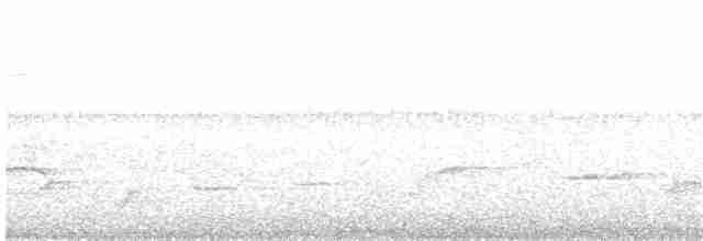 Gray Whistler (Brown) - ML203978121