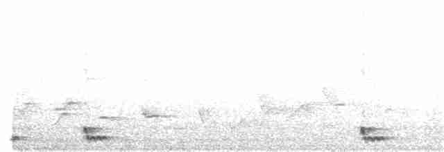 Langschwanz-Nachtschwalbe - ML203978251