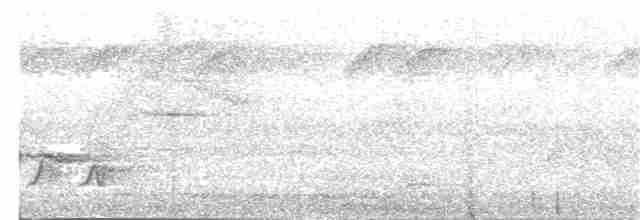 Rotbrust-Paradiesschnäpper [mutata-Gruppe] - ML203979101