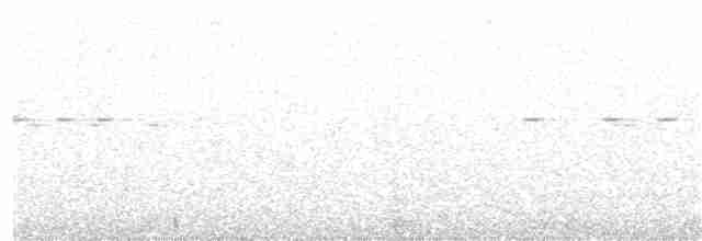 sotslørugle (multipunctata) (fantomsløugle) - ML203979251