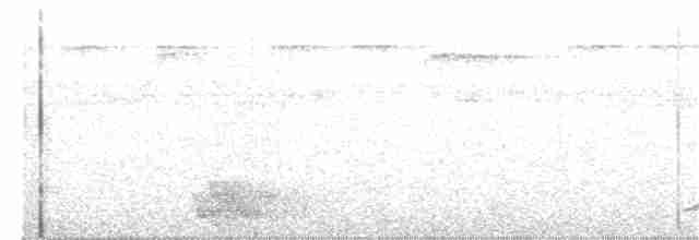 Helmeted Friarbird (Hornbill) - ML203979271