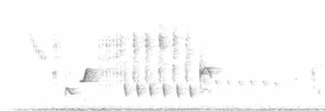 slavík obecný (ssp. megarhynchos/africana) - ML203979681