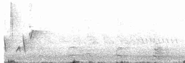 slavík obecný (ssp. megarhynchos/africana) - ML203979731