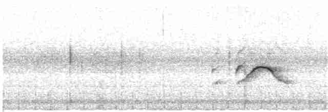 Короткопалый хохлатый жаворонок - ML203979921