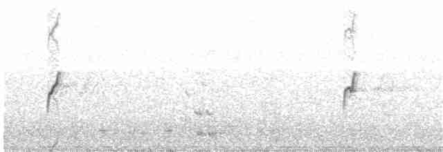 rustbuklo (aquilonius) - ML203980121