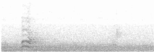 Gallinule poule-d'eau - ML203980411
