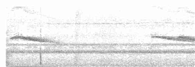 Graumantel-Brillenvogel - ML203981231