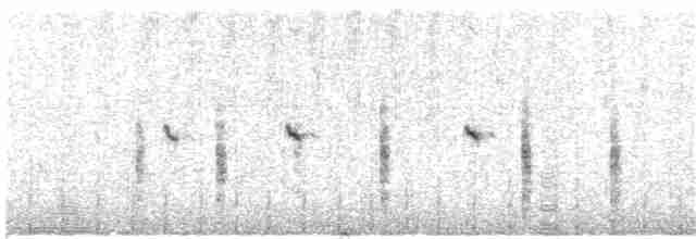 Кам’янка звичайна (підвид oenanthe/libanotica) - ML203981781