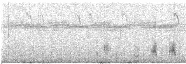 Great Reed Warbler - ML203981891