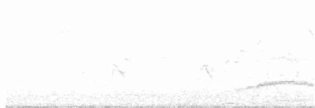 Spotless Starling - ML203982211