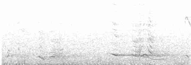 Helmeted Friarbird (Helmeted) - ML203982601