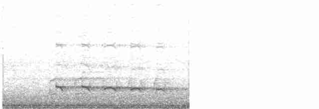 ヨーロッパアオゲラ（viridis／karelini） - ML203982671