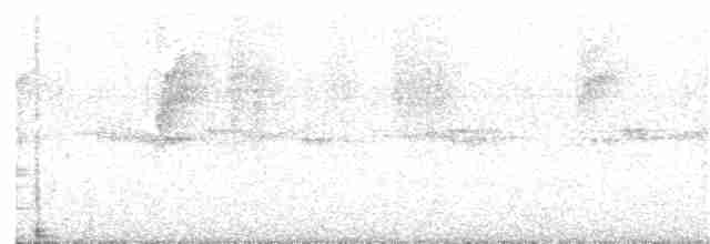 Weißrücken-Ameisenvogel - ML203983001