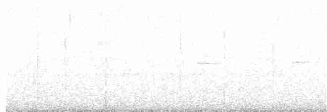 Perlenkehl-Ameisenschlüpfer - ML203983031