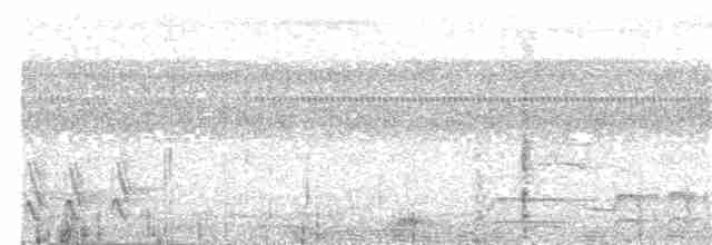 Биакский райский зимородок - ML203983491