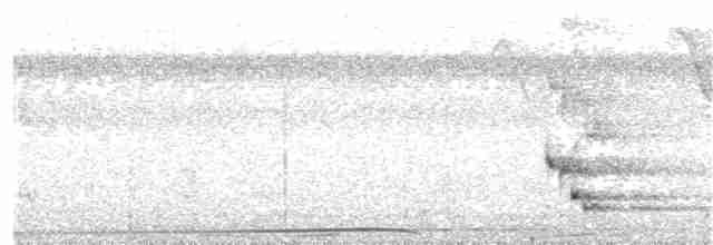 Glanzfleckdrongo (carbonarius) - ML203983581