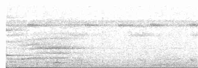 Glanzfleckdrongo (carbonarius) - ML203983591