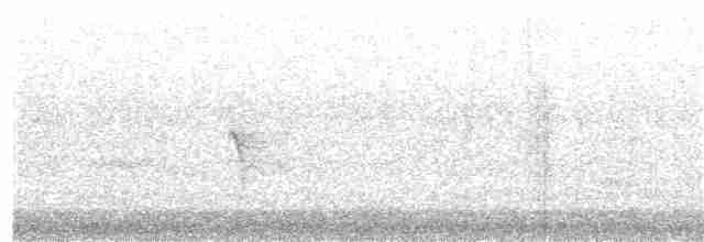 Siffleur des Fidji (groupe vitiensis) - ML203983731